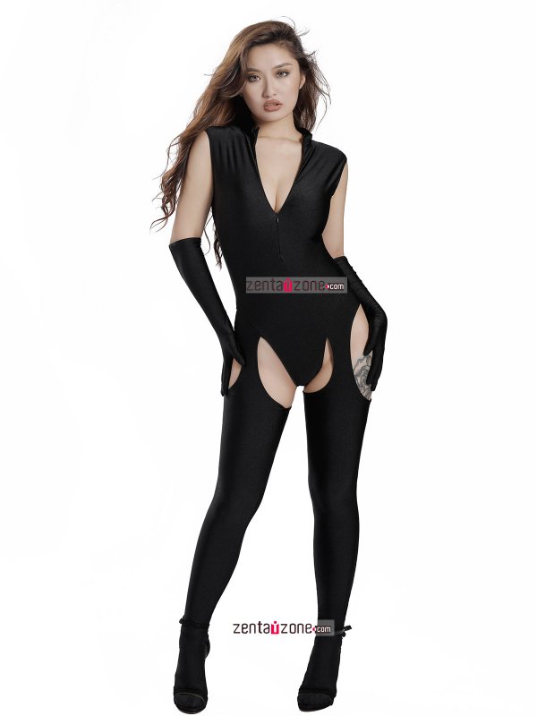 Nylon Spandex Sexy Catsuit For Party Time - Click Image to Close